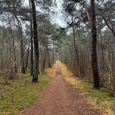 招待所 Landgoed Rotermundt